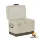 کول باکس نیچرهایک مدل CNH22SN005