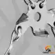 کرامپون زنجیری ژله ای نیچرهایک مدل NH19HJ001